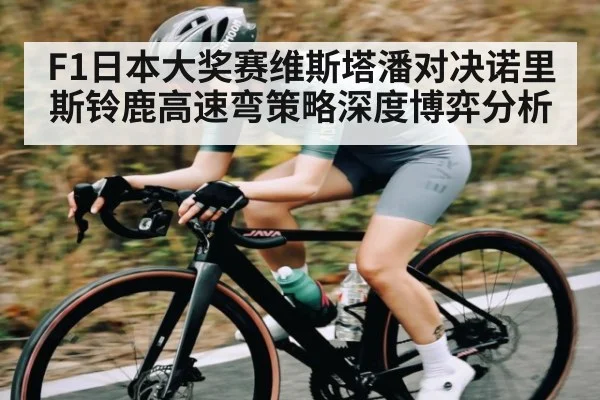 F1日本大奖赛维斯塔潘对决诺里斯铃鹿高速弯策略深度博弈分析